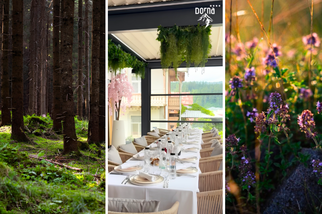 Hotel Dorna, Vatra Dornei. Terasa amenajata cu Sun Leader cu pergole retractabile bioclimatice si sticla